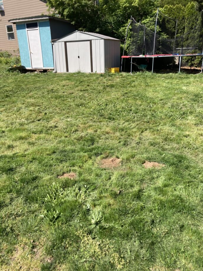 Before Soil removal excavation