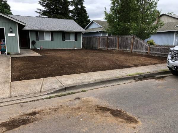 brush clearing and leveling