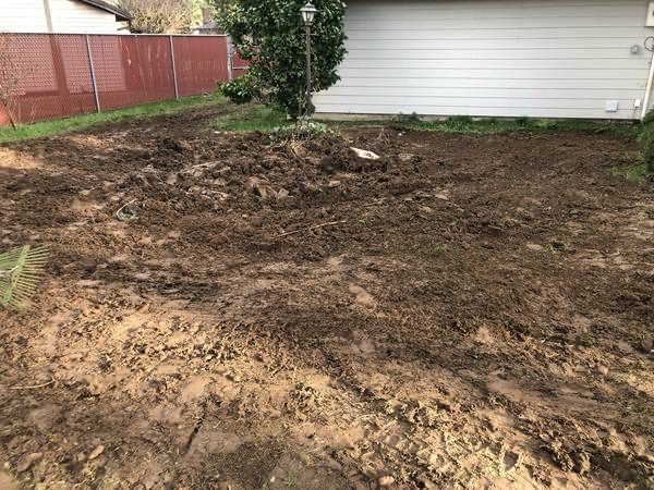 After: Pond & Garden Structure Removal