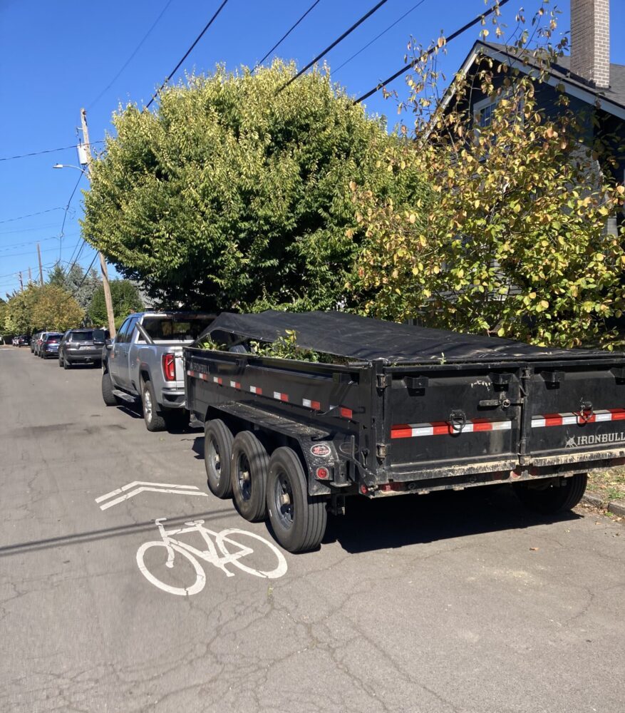 bamboo and vegetation hauling away debris