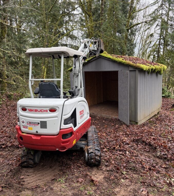 Shed removal